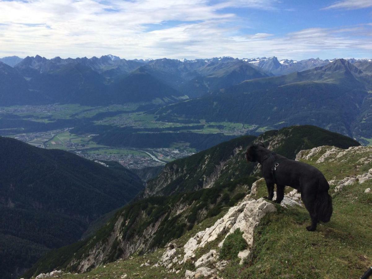 Apartament Haus Meinrad Seefeld w Tirolu Zewnętrze zdjęcie